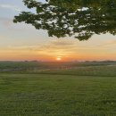 둔산중로-39 이미지