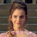 태권한류 이미지