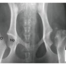 지누동물병원 이미지