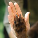 현대종합펫(현대동물병원) 이미지