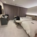 브라운도트 이미지