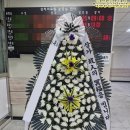 오십천로 | 멀어도 마음은 늦지 않게｜삼척 남양동 삼척의료원 장례식장 근조화환 당일배송 후기