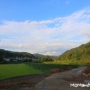 행복한 산책 Daum카페