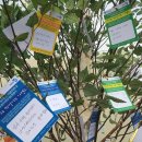 아리수유도 이미지