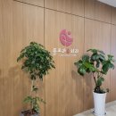 플로라유외과의원 이미지