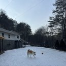 스팅 펜션 이미지