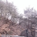 도락산 | 블랙야크 100대 명산 충북 단양 도락산 최단코스 1일 2산(금수산,도락산) 완주 후기_2026.02.22