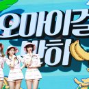 원숭이직구