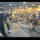 에이스복싱 이미지