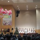 백양사(순천) Daum카페