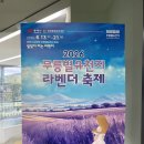 [동해] '무릉별유천지' 라벤더 축제 후기 및 액티비티 총정리!