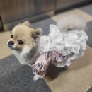 부산학원 디자인학원 알아보신다면 올패션 디자인학원