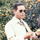 김종필농장 이미지