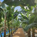 나온농장 이미지