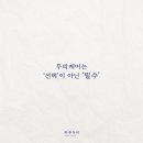 하루두피 대전유성점