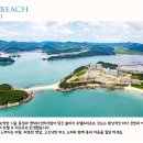 리빙진도 이미지