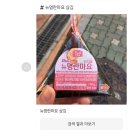 정평로1L | [일기] 1/8-1/14일상: 풋살, 수원역 빈틈 일상엔 베이커리, 아이디헤어 용인수지점 허쉬 레이어드 컷...