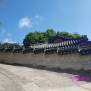 함평 자형정 티스토리