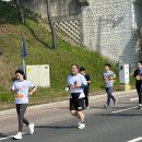 제2066신 : 반환점을 도는 푸마들 – 마라톤 대회 참가기(2) 이미지