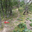 영양 산해리 오층모전석탑 이미지