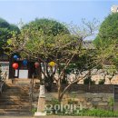 장위 부마축제(미정) | [용인일보] 덕온공주家 유물, 단국대 석주선 박물관