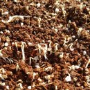 연리지농장 이미지