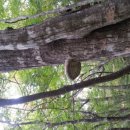 노내골농장 이미지