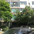 삼성동-19 이미지