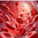 고지혈증의 이해와 관리 이미지