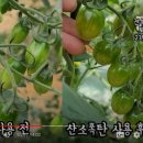 김옥수농장 이미지