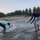 느티나무골펜션 이미지