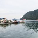 파랑새굴수산 이미지