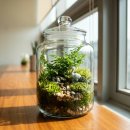 고성현 축산기술연구소 | 전국출강 테라리움 체험 키트 행사 박람회 단체주문 기업워크샵 지역행사