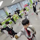 태비바른아이태권도장 네이버블로그