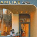 드림라이크 커피(Dreamlike coffee)