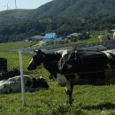 수천목장 이미지