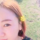 나루더리브 이미지