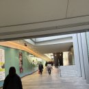 돼지왕국 | 일본 여행추천 고베 동물왕국 가는 방법 티켓꿀팁 내돈내산 후기