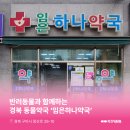 나약국 이미지