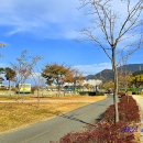 대강생활체육공원 이미지