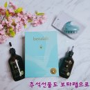 보라인셀덤 이미지
