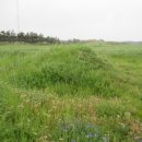 포항시남구8 이미지