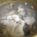 무교동 낙지생각 이미지