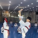 경희대금호태권도장 이미지