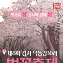 강서 낙동강30리 벚꽃축제(2025년) 이미지