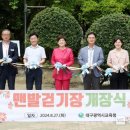 대구광역시 청사 이미지