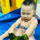 눈초롱어린이집 이미지