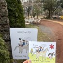 만화목장 | [제주] SNS 핫플 목장🐴 길갈팜랜드 솔직후기 (동물 먹이체험 가능)