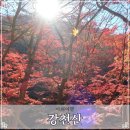 강천산군립공원 | 순창 강천산 군립공원 단풍 명소 주차 구장군폭포 산책 후기