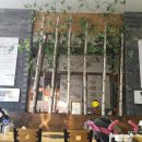 석우동 삼성1로3길 부근 | 동탄맛집 / 석우동맛집 - 문어스토리 &#39;해천&#39; : 완전 푸짐하고 싱싱해~^^